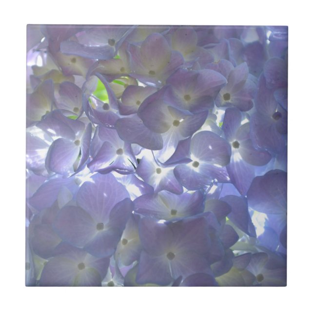 Lavender Hydrangeas Tile (Front)