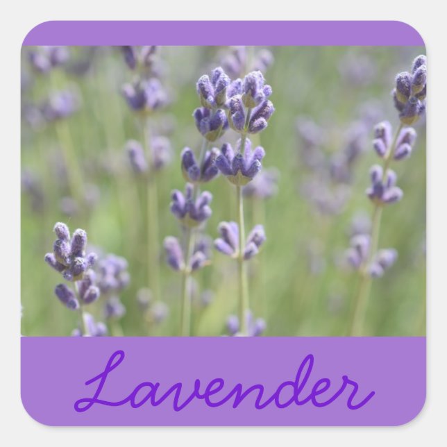 Lavender Inspired Stickers (Front)