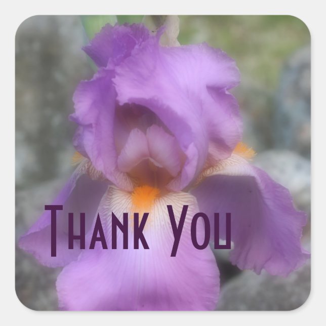 Lavender Iris Flower Thank You Sticker (Front)
