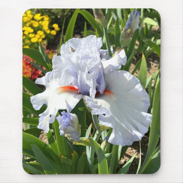 Lavender Iris Mouse Pad (Front)