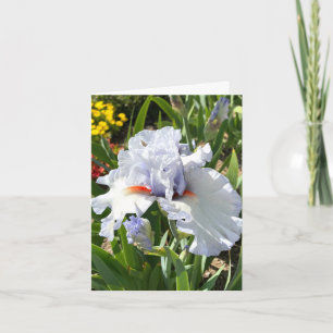 Lavender Iris Personalized Greeting Card