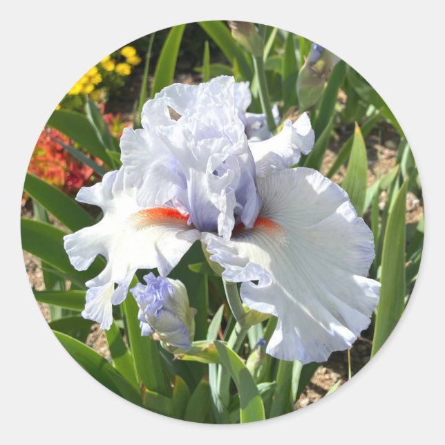 Lavender Iris with Orange Beards Stickers (Front)