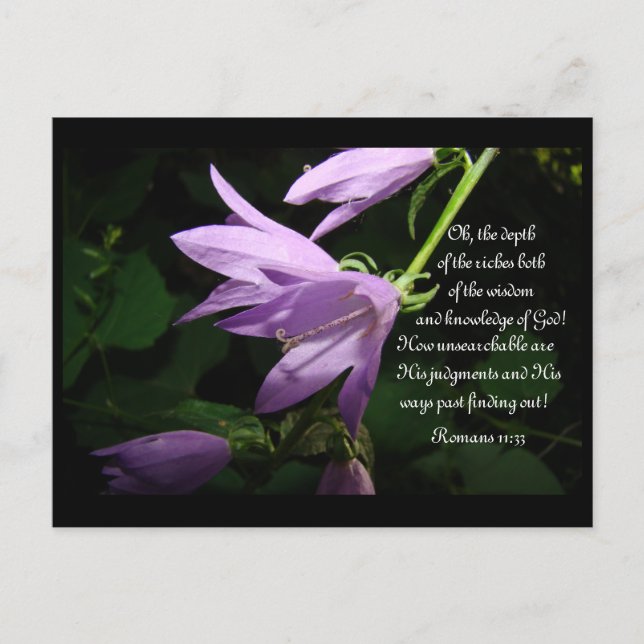 Lavender Lady Bells Postcard (Front)