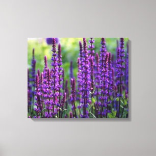 Lavender Lilac Photo Canvas Print
