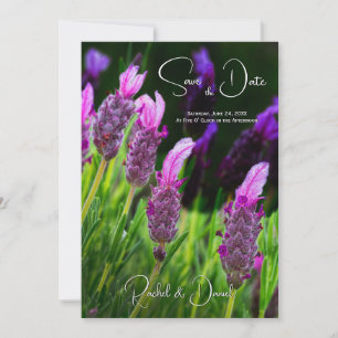Lavender, Love & Devotion, Wedding Save the Date, Invitation
