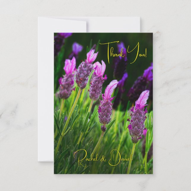 Lavender, Love & Devotion Yellow, Wedding Thank You Card (Front)