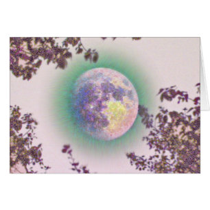 Lavender Moon
