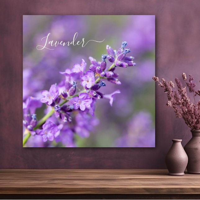 Lavender Name  Poster (Creator Uploaded)