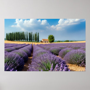 Lavender Nature Outdoors Landscape Calm Peaceful  Poster
