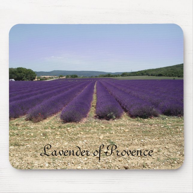 Lavender of Provence Mouse Pad (Front)
