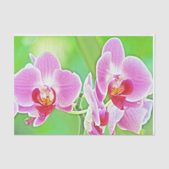 lavender orchid tissue paper (Front)