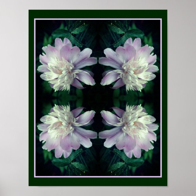 Lavender Peony Flower In Bloom Abstract Poster (Front)