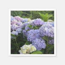 Lavender & Pink Hortensia Hydrangea Flowers