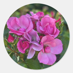 Lavender Pink Rose Classic Round Sticker