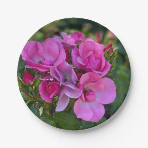 lavender Pink Rose Paper Plate