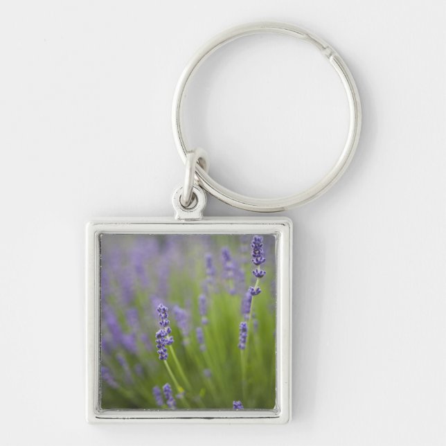 Lavender plants 2 keychain (Front)