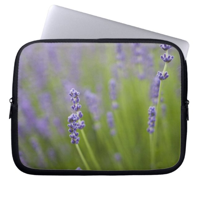 Lavender plants 2 laptop sleeve (Front)