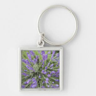 Lavender plants keychain