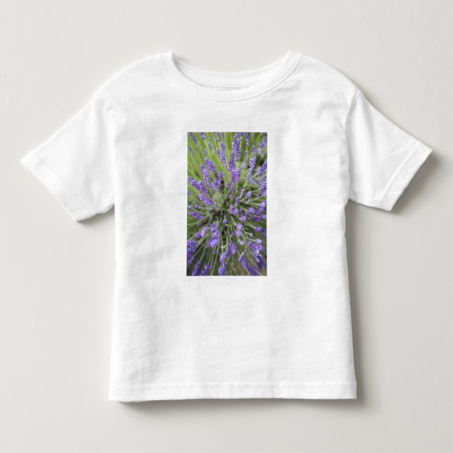 Lavender plants toddler t-shirt (Front)