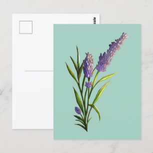 Lavender Postcard