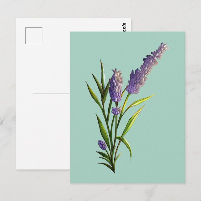 Lavender Postcard (Front/Back)