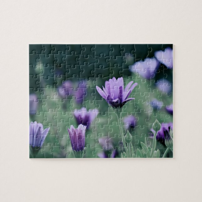 Lavender Purple Flowers Jigsaw Puzzle (Horizontal)