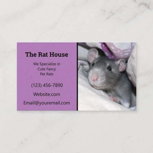 Lavender Rat Breeder Rattery Business Card (Front)