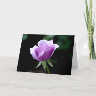 Lavender Rose Card