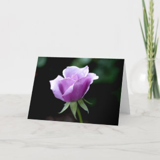 Lavender Rose Card