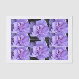 Lavender Rose Sharon Multi images Tissue Paper