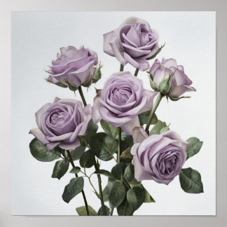 Lavender Roses Flower Art Print Poster