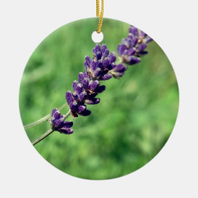 Lavender Stalk Photo Circle Ornament (Front)
