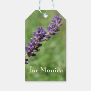 Lavender Stalk Photo  Custom Gift Tags