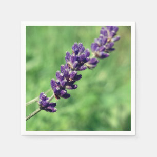 Lavender Stalk Photo Paper Napkins