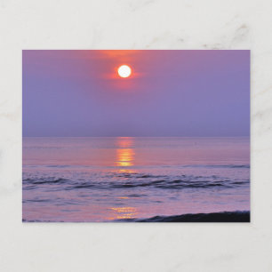 Lavender sun postcard