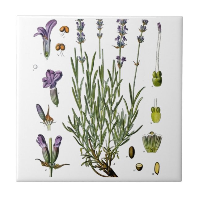 Lavender Tile (Front)