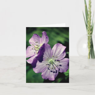 Lavender Twins Geranium Flower Photography  Note Card