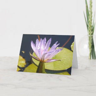 Lavender Water Lily Card
