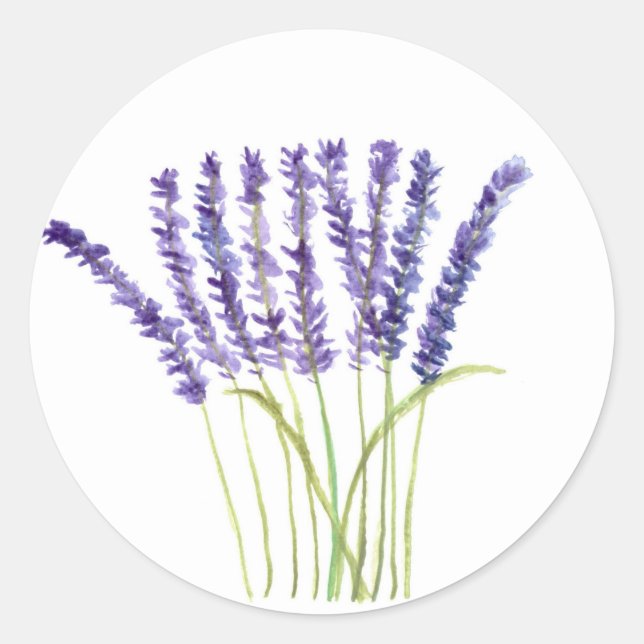 Lavender watercolour purple flowers Floral herbs Classic Round Sticker (Front)