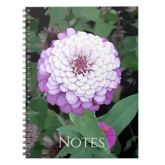 Lavender Zinnia Notebook