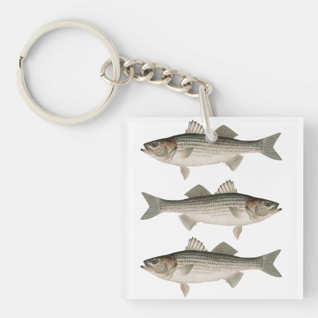 L'aventure de la pêche à la basse rayée (Devant)