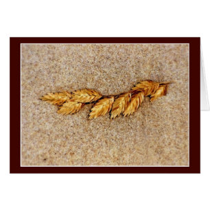 L'avoine Et Le Sable