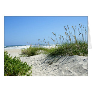 L'avoine marine à Ocracoke
