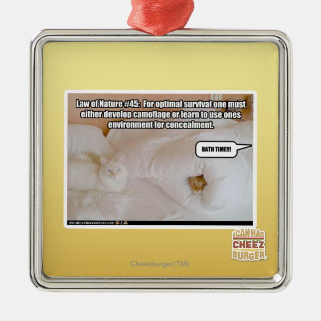 Law of Nature #45 Metal Ornament (Front)