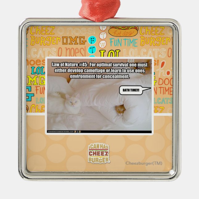 Law of Nature #45 Metal Ornament (Front)