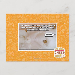 Law of Nature #45 Postcard