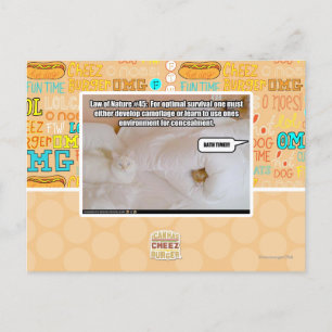 Law of Nature Postcard