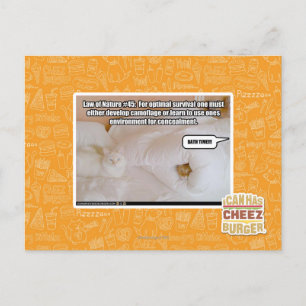 Law of Nature Postcard