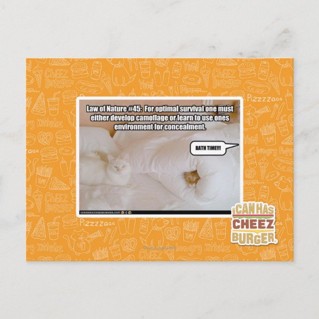 Law of Nature Postcard (Front)