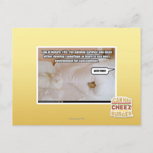 Law of Nature Postcard